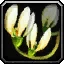 Deathweed