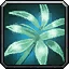 Mountain Silversage