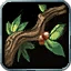 Nature's Reach