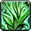 Wild Growth