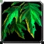 Pop-Up Shrub
